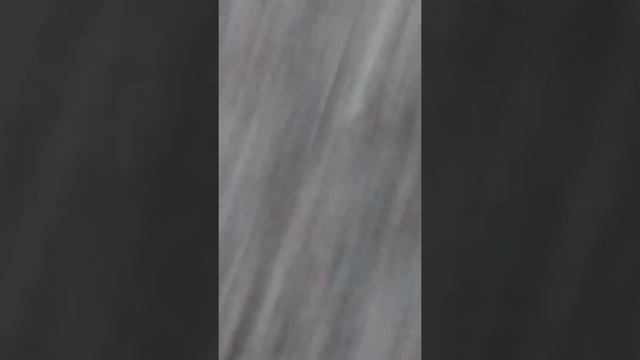 Черный рыцарь делает предложения выйти замуж за меня