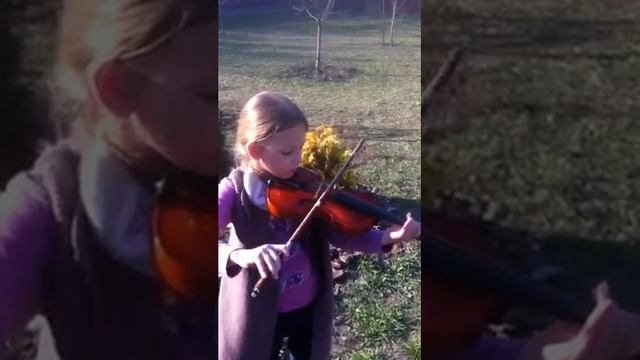 Скрипка. Уроки скрипки. Нульовий клас.