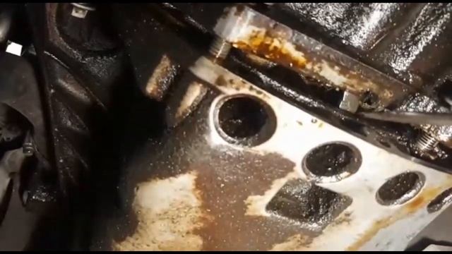 Ruido En Motor Aro Dentado Megane