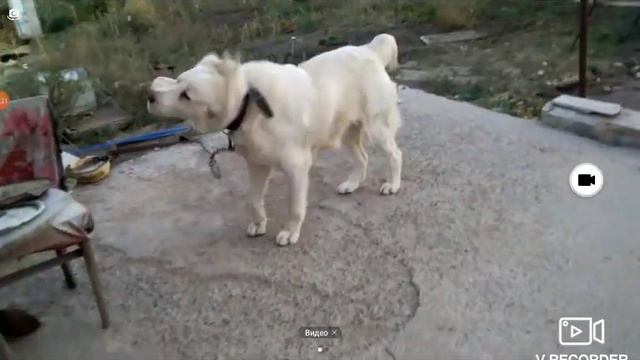 E335f39f4a5374a3a08fbae0f7703553