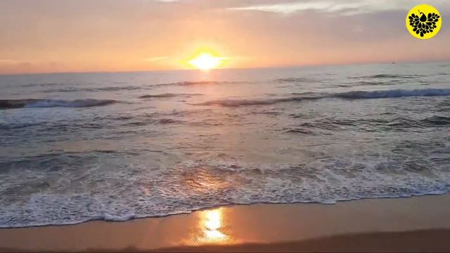 Another Day At Induruwa Beach | Sri Lanka ??