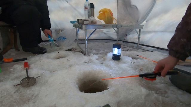 Динго Т-150! Палатка 