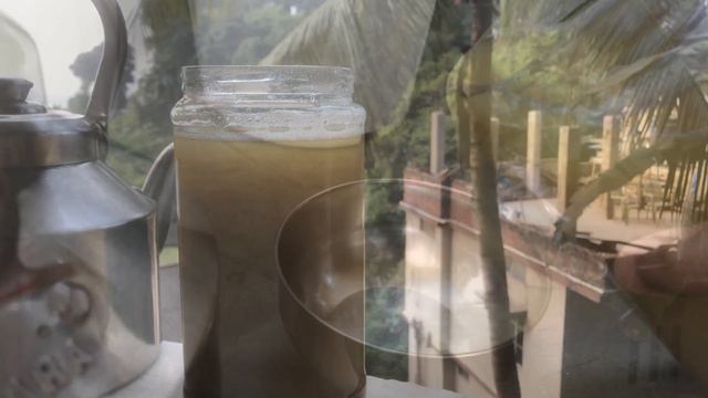 Green Spaces | Best Fertiliser For Flowering Plants | Mustard Cake Fertiliser | Assamese Video