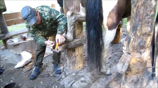 Алтай 2012. Подковка