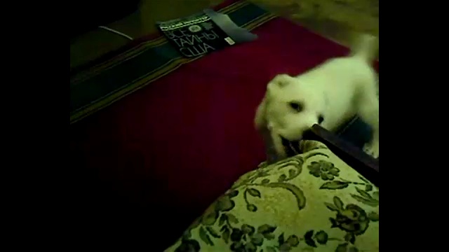 Dff303397c92f093e2780576c1e65a6d