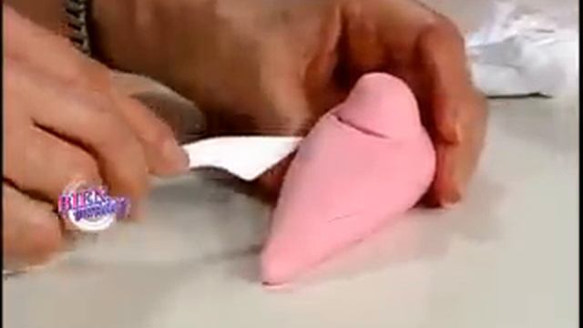 Mirta Biscardi - Bienvenidas TV - Ballena Y Delfín