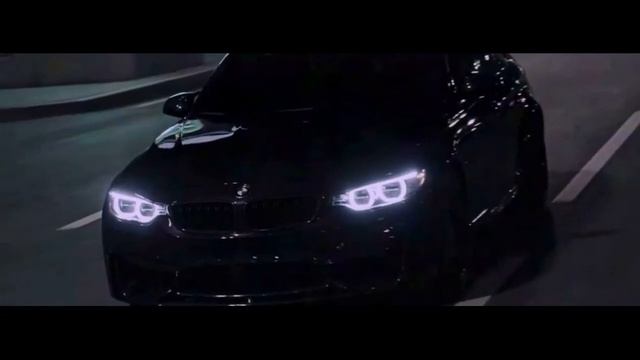 Бодя Мир642 х Dewensoon - Meloman