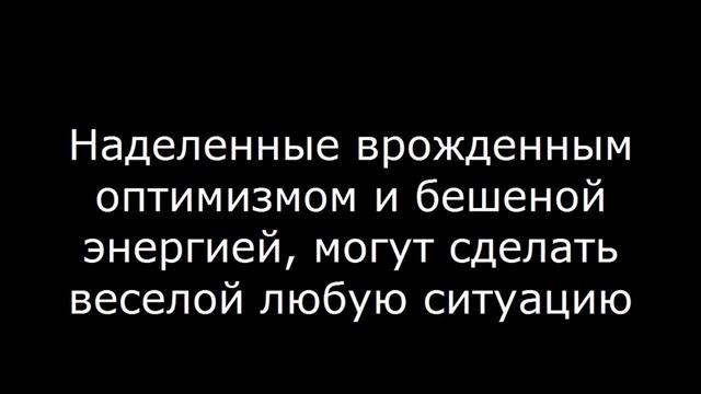 Какие 3 знака самые веселые – ГОРОСКОП