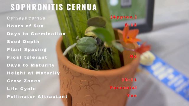 56337b3109985bcc7a04e6db91990715