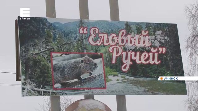 Под Ачинском медведь сломал забор и напугал дачников