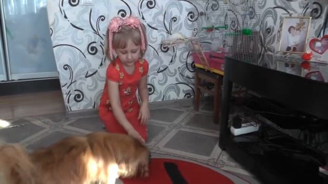 Мои домашние питомцы