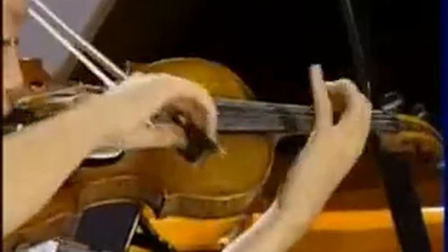 5ad519447363a72a07f2c100db502876