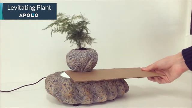 00fb1e5ea717358173b0d3a97173d6d5