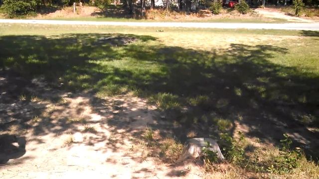 First Run Slash Build