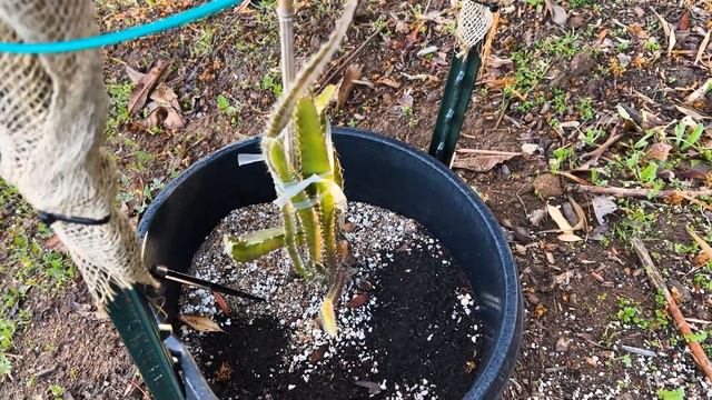 227f11bd9c03093677064b43437479d2