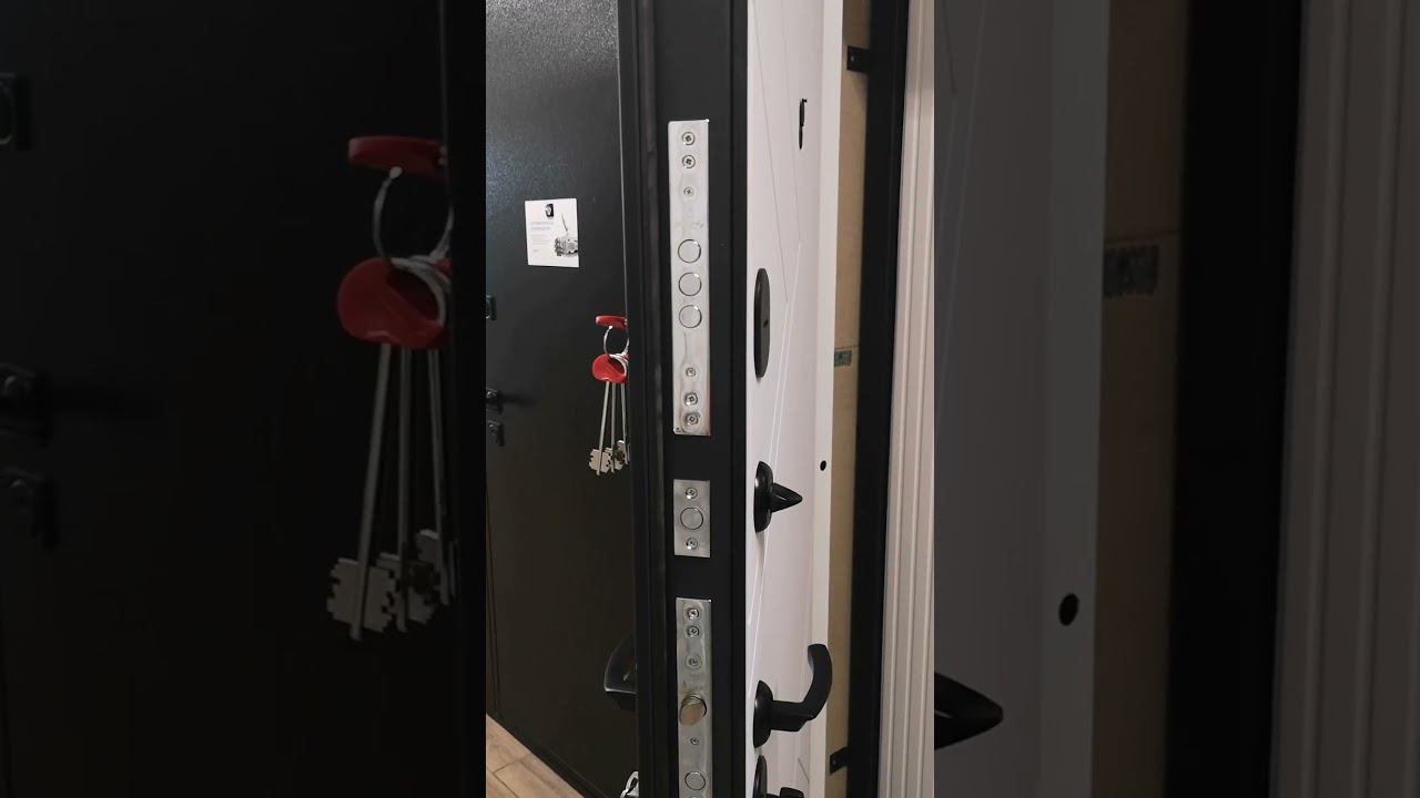 Входная дверь Спарта