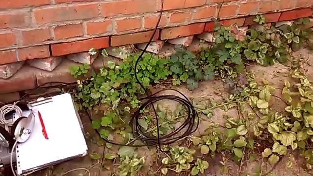 19 06 2016г на ДАЧЕ