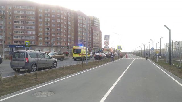 Зимние цветы