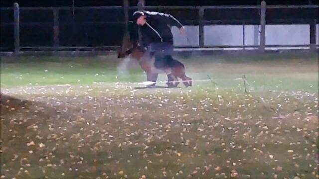 Cash ринговка