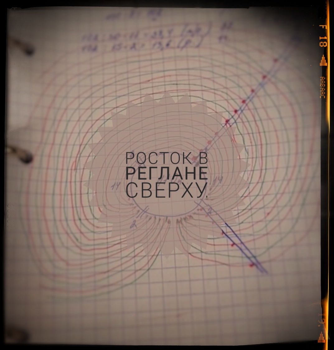 Реглан сверху!!!! Росток - петли разворота.