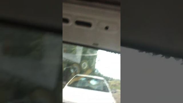 Tranquil Flower Sanctuary