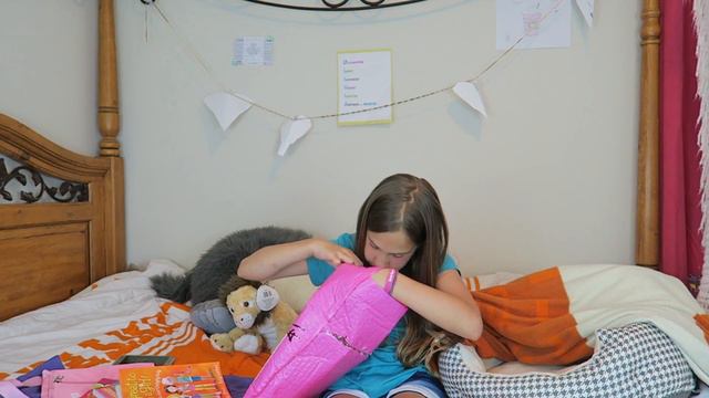 Unboxing A Gift From Secret Keeper Girl! Countdown To #Vidcon 2016! Day 17!