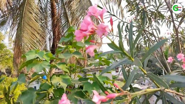 A21eb201fff1a17bf4a4f1b55423e417