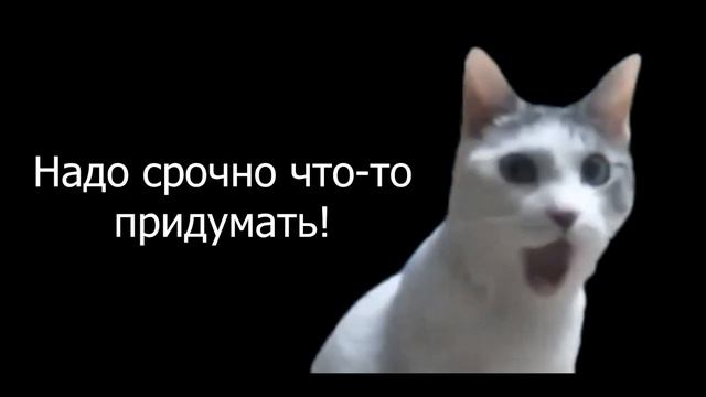 Когда забыл о дне влюбленных...