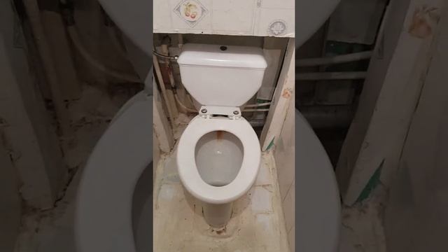 Установка бачка Тосно