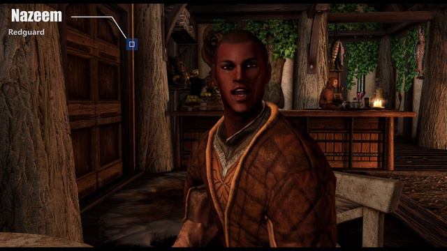 Skyrim MOD Showcase 📌 New Male Replacer - Male Of Skyrim #2