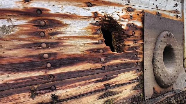 Путешествие в Териберку