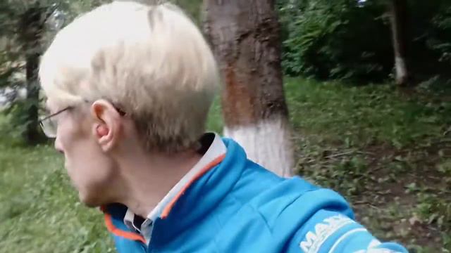 нарцисс у ромашки