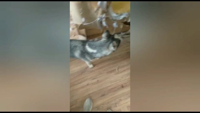 Она боролась за жизнь - 