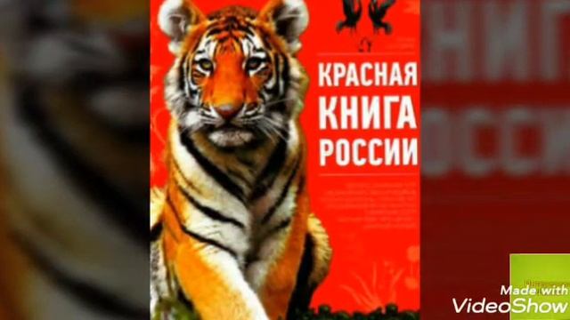Топ-10 Фактов о 