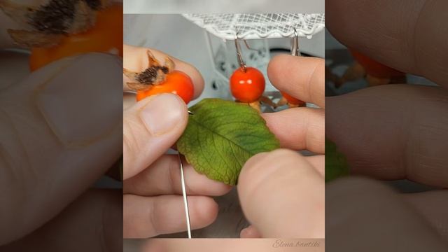 446918253a4cdb65721195d1a9039e9f