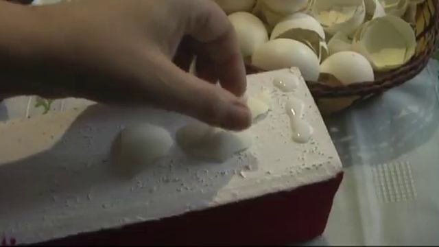 7dc9732f22e747b44fb4a0ab03587cd1