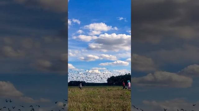 E7f7978877ffc43653103f771ba7541f