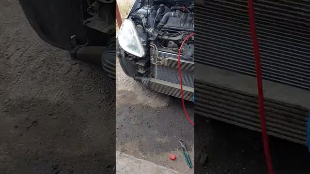 Оживите свой дом к весенней поре