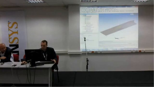 Семинар «Дни экспертов ANSYS в России» 2012, Черняев А.