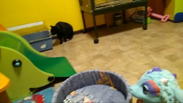 Большой попугай,  кошка,  дракон