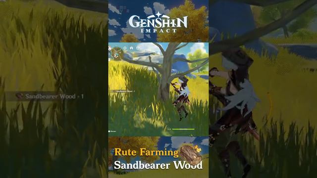 Rute Farming Sandbearer Wood - Guide Genshin Impact Indonesia / GameFever ID