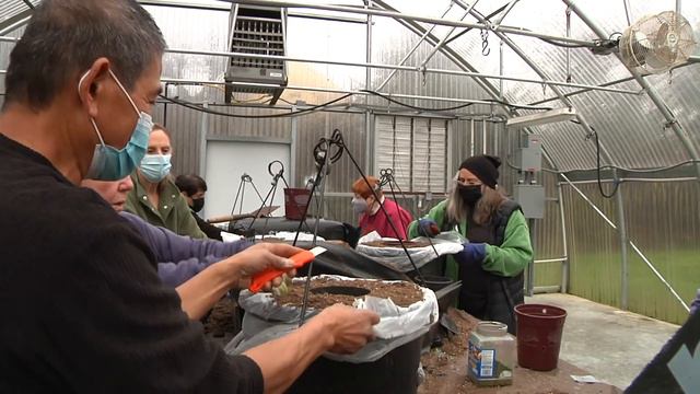 Inside Bremerton: Hanging Flower Baskets