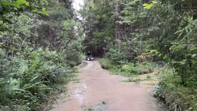 Stels Leopard 600Y покатушки 2023 испытание прочностью )