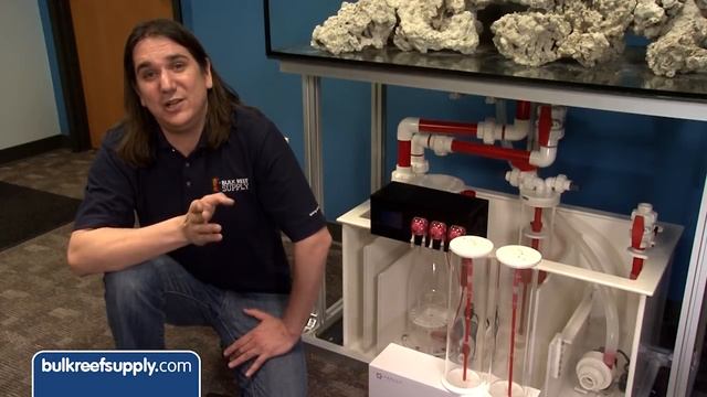 Aquascaping, Filtration, LED Lights & More - EP 2: Clownfish Harem Tank #clownharemtank