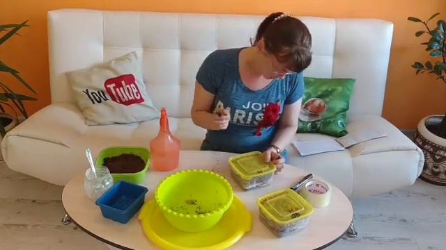 ОТПРАВКА УЛИТОК ПО ПОЧТЕ / ДЕНЬ 10.