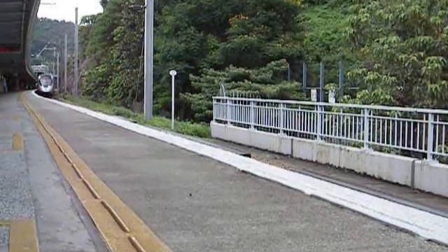 (31-07-2008) MTR SP1900 E221 Non-stop At Tai Po Market