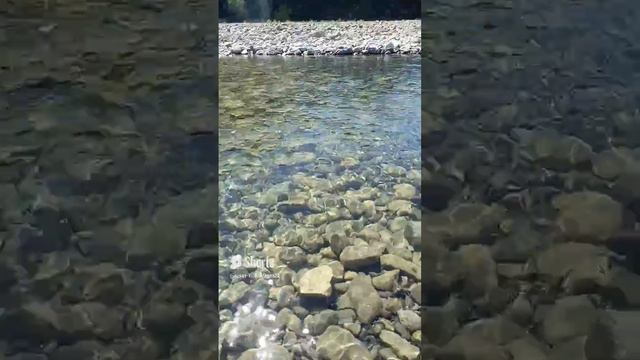 добрая река Мезапсе