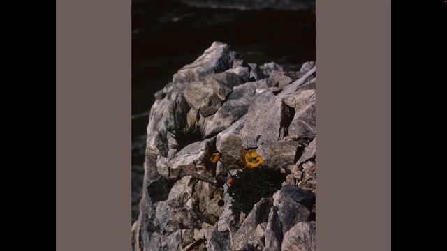 Bulgaria - A Tale Of Two Mountains