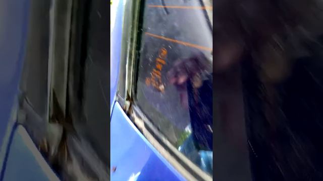 Субарюшкин рай: здоровье и красота