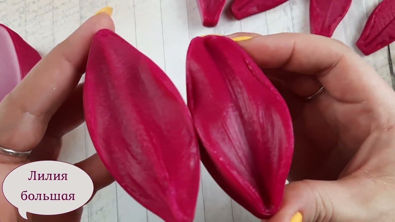 51304873bf7bec498ec7f5b962d76d31